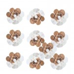 Belo-rjav cvet iz shole - 10 kom